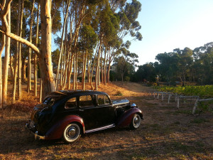 Adelaide Wedding Cars