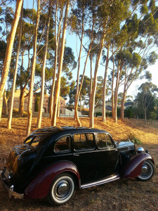 Adelaide Wedding Cars