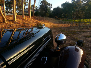 Adelaide Wedding Cars