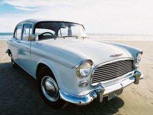 Ivory Humber Hawk